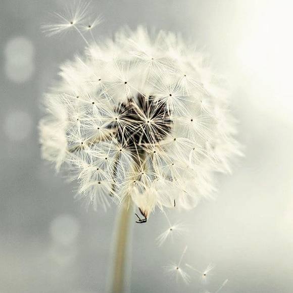 Meet your Posher, Kim - Picture 1 of 1